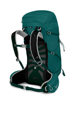 Compra Tempest 30 L zaino da trekking donna Osprey in verde |  ochsnersport.ch
