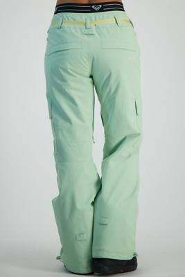 Roxy PASSIVE LINES - Ski pants - gef/green 