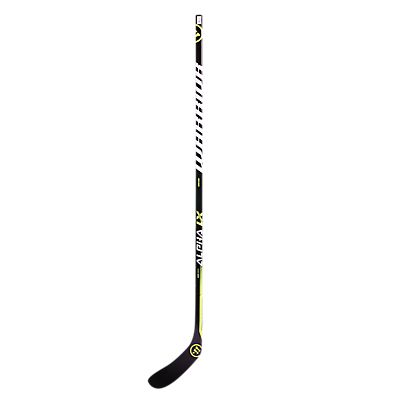 LX 50 SR Eishockeystock