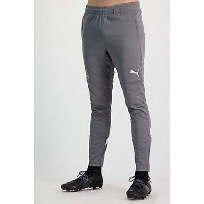 Image of Schweiz Training Herren Trainerhose