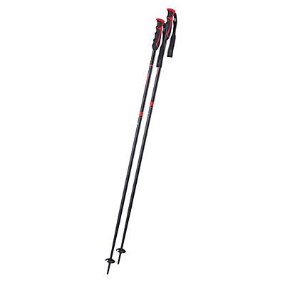 Image of Booster Speed Skistock