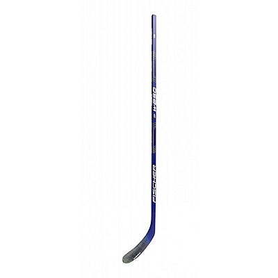 W250 SR Eishockeystock