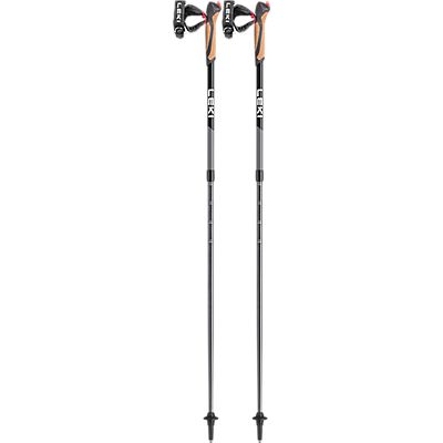 Spin Nordic Walking Stock