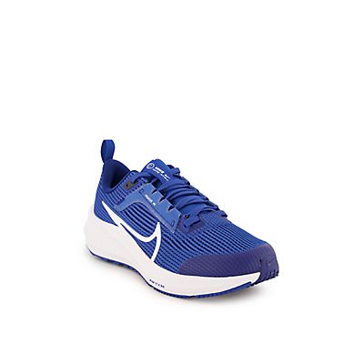 Image of Air Zoom Pegasus 40 Kinder Laufschuh
