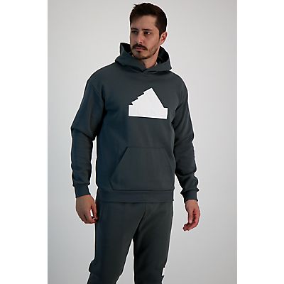Image of Future Icons Badge of Sport Herren Hoodie