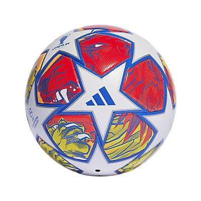 Image of UCL League 23/24 Fussball