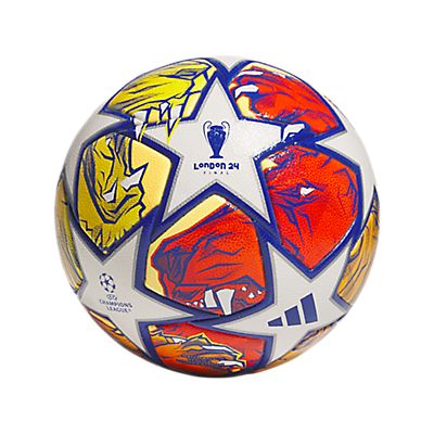 Image of UCL Competition Fussball