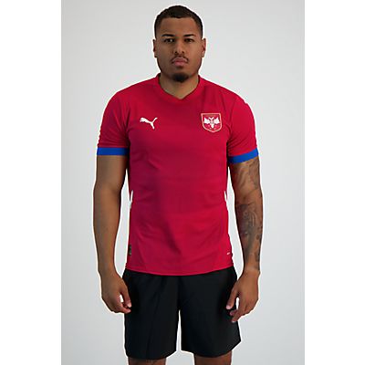 Image of Serbien Home Replica Herren Fussballtrikot EM 2024