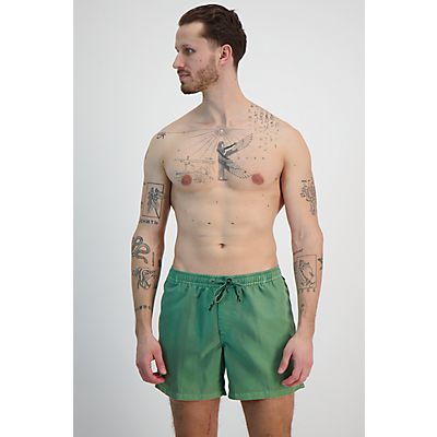 Everyday Surfwash Volley 15 Inch costume da bagno uomo