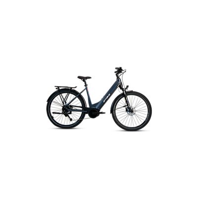 Image of Arenas 500 29 E-Bike