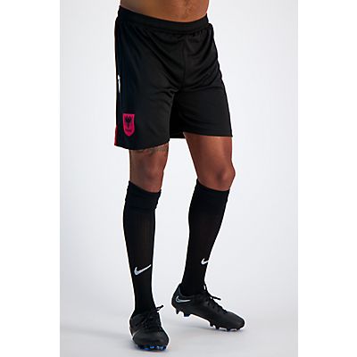 Albanien Home Replica Herren Short EM 2024