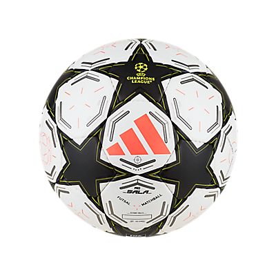 Image of UCL Pro Sala Fussball