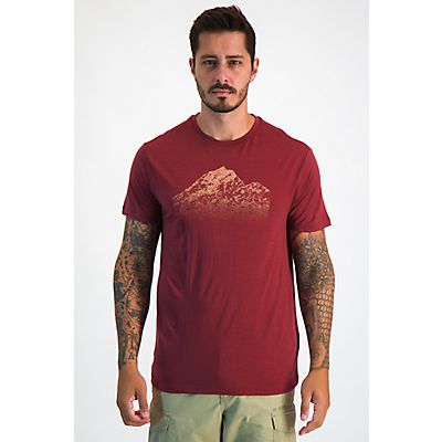 Image of Merino 150 Tech Lite Rising Light Herren T-Shirt