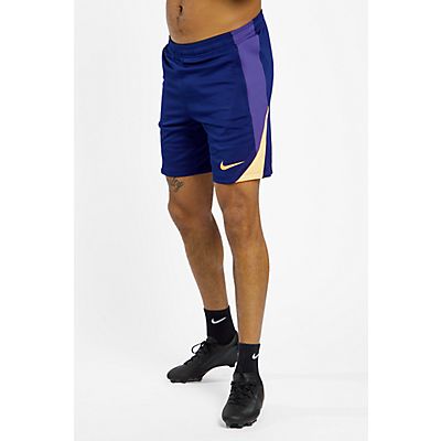 Dri-FIT Strike Herren Short