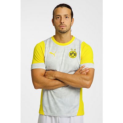 Borrusia Dortmund Training Herren T-Shirt 25/26