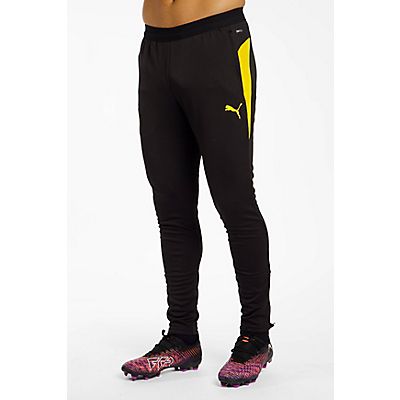 Borussia Dortmund Herren Trainerhose 25/26