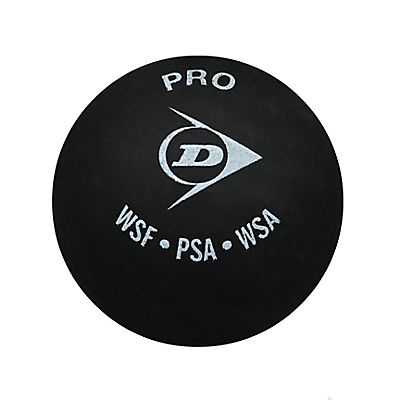 Pro Squashball