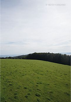 JURA: La faux d'enson