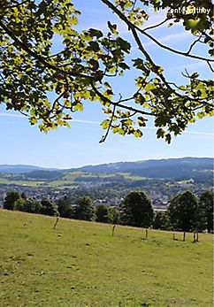 NEUENBURG: Pouillerel