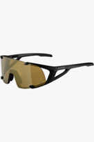 ALPINA Hawkeye S Q-Lite lunettes de sport noir