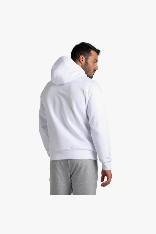 arena Team Hooded Sweat Panel hoodie