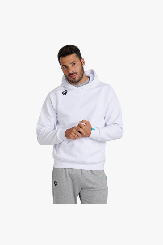 arena Team Hooded Sweat Panel hoodie