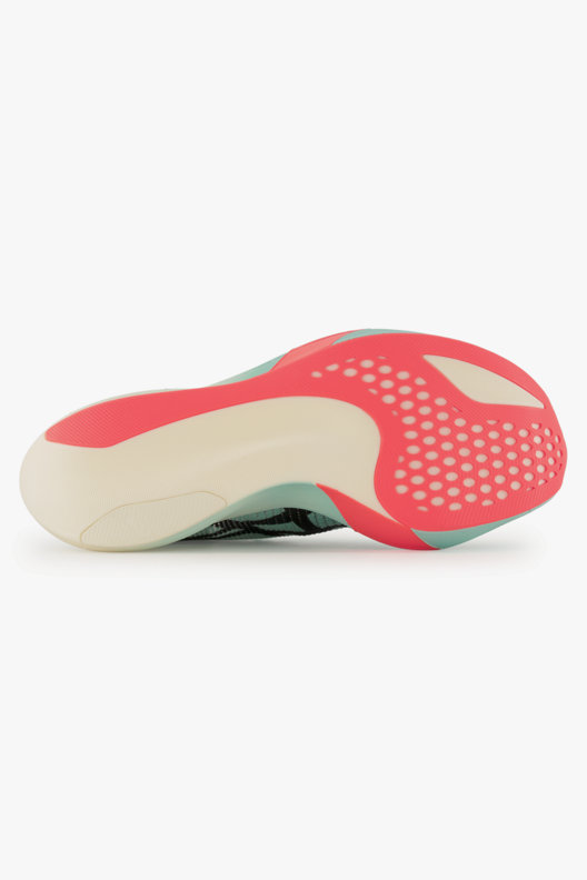 ASICS Metaspeed Sky Paris Herren Laufschuh