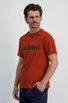 Element Blazin Herren T-Shirt orange