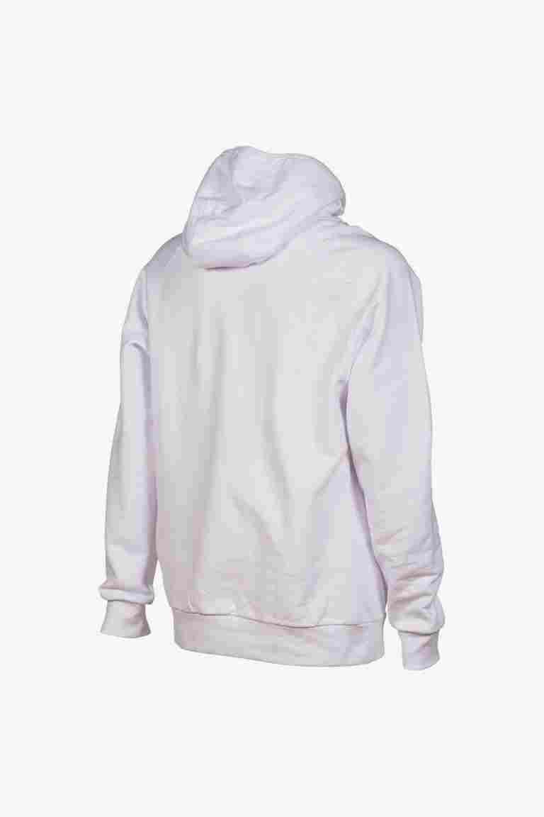 arena Team Hooded Sweat Panel hoodie