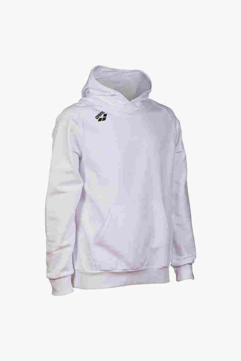arena Team Hooded Sweat Panel hoodie