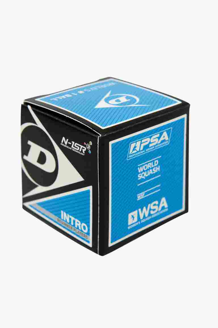 Dunlop 12-Pack Intro Squashball