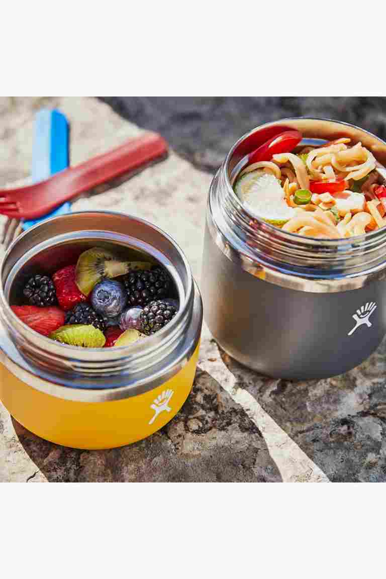 Hydro Flask 591 ml Insulated food pot	