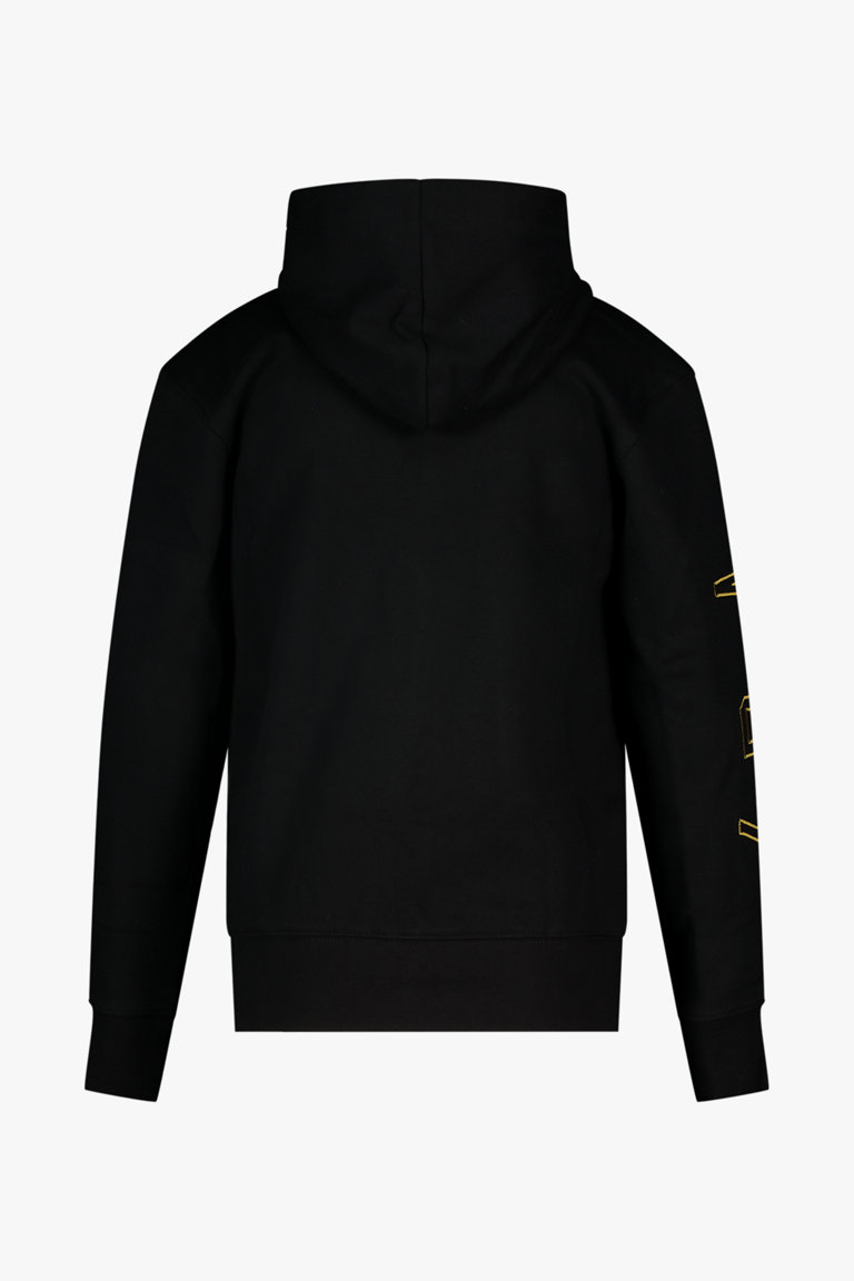 Jordan take flight hoodie discount