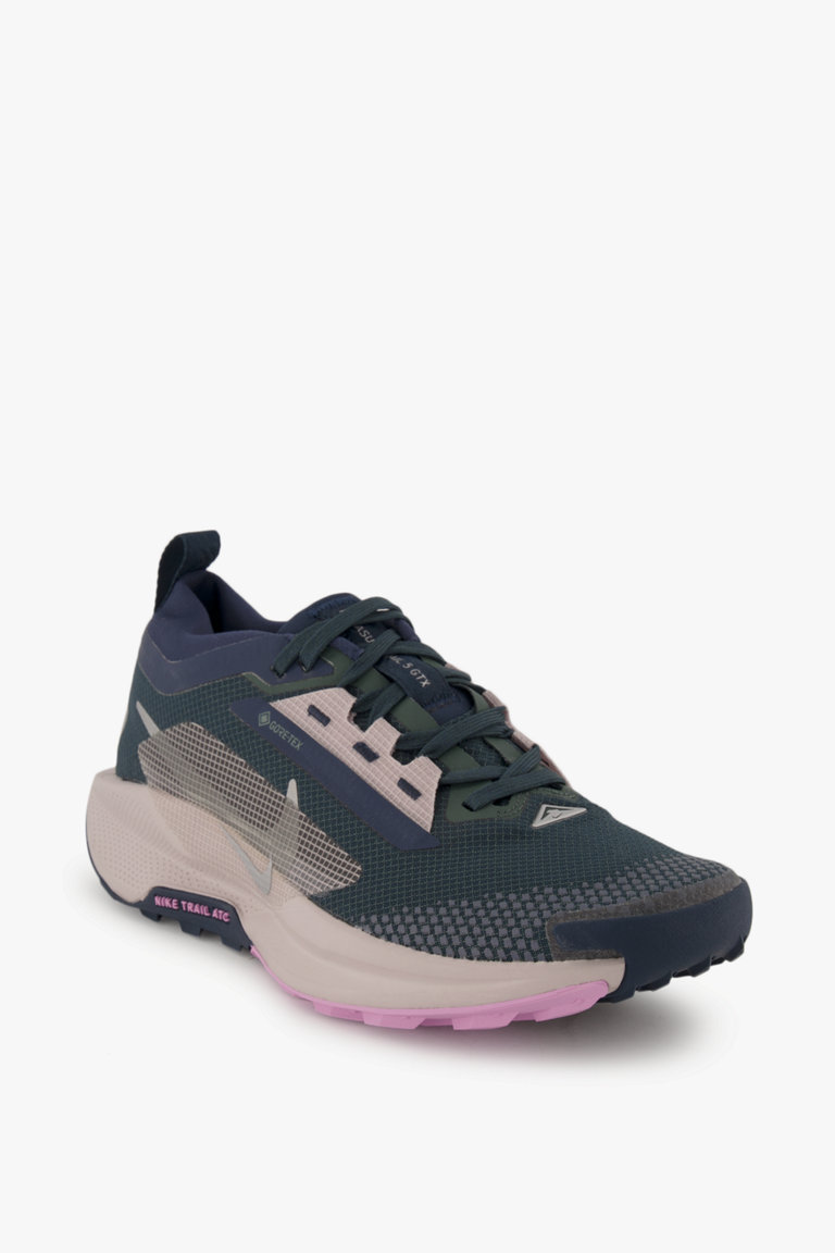 Compra Pegasus Trail 5 Gore Tex scarpe da trailrunning donna Nike in verde ochsnersport.ch
