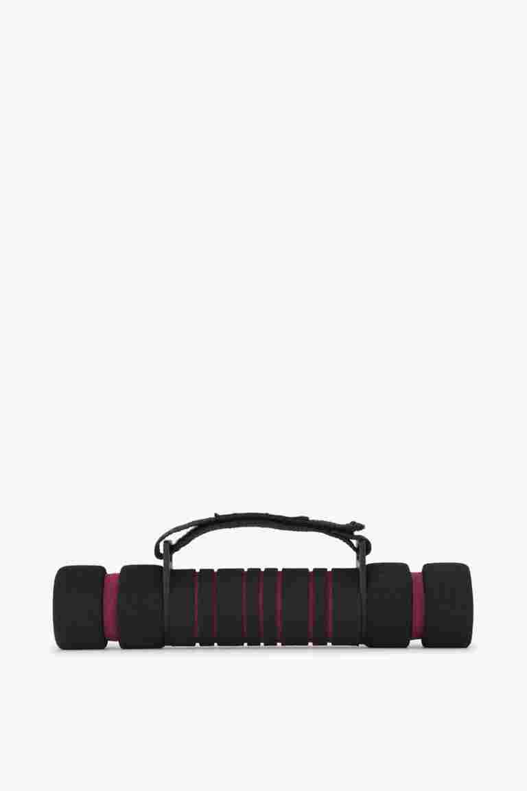POWERZONE 2 x 0.9 kg manubrio