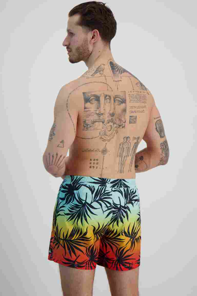 Quiksilver Everyday Mix Volley 15 Inch costume da bagno uomo