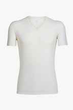 Icebreaker 150 Anatomica Herren Thermoshirt