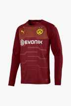 Puma Borussia Dortmund Replica Herren Torwarttrikot