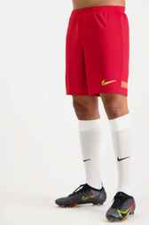 Nike Dri-FIT Academy Herren Short rot