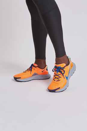 Nike Pegasus Trail 3 Herren Trailrunningschuh