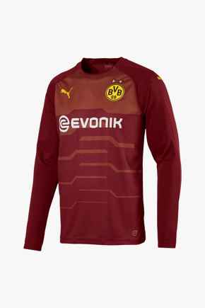Puma Borussia Dortmund Replica Herren Torwarttrikot