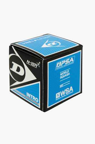 Dunlop 12-Pack Intro Squashball 2
