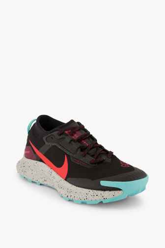Nike Pegasus Trail 3 Gore-Tex® chaussures de trailrunning hommes Couleur Noir 1