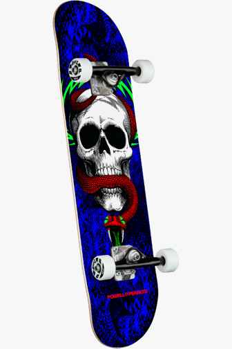 Powell-Peralta Skull & Snake skateboard 1