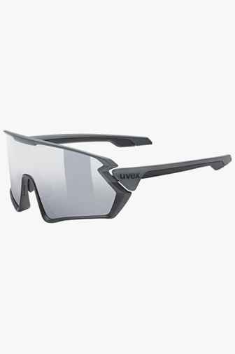 Uvex Sportstyle 231 Sportbrille Farbe Grau 1