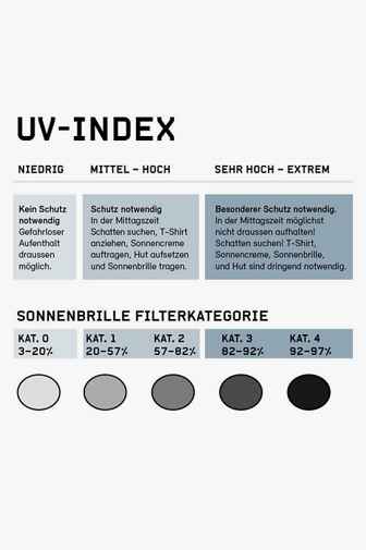 Uvex Sportstyle 231 Sportbrille Farbe Grau 2