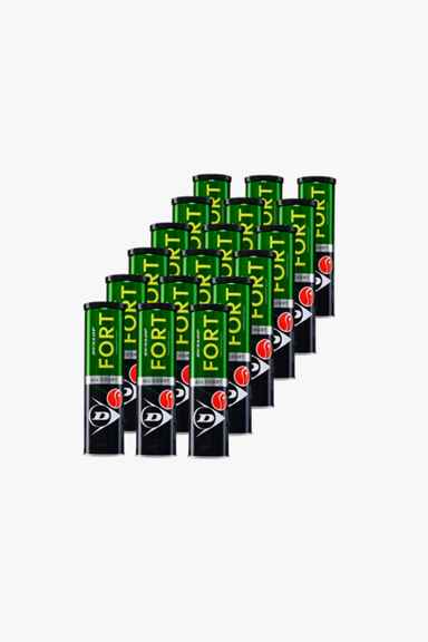 Dunlop 18-Pack Fort All Court Tennisball