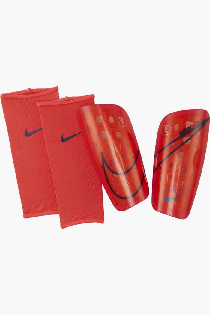 parastinchi mercurial