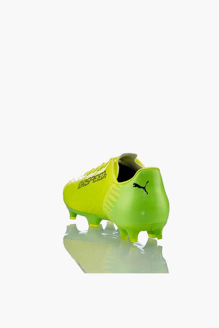 puma evospeed 17.2 fg