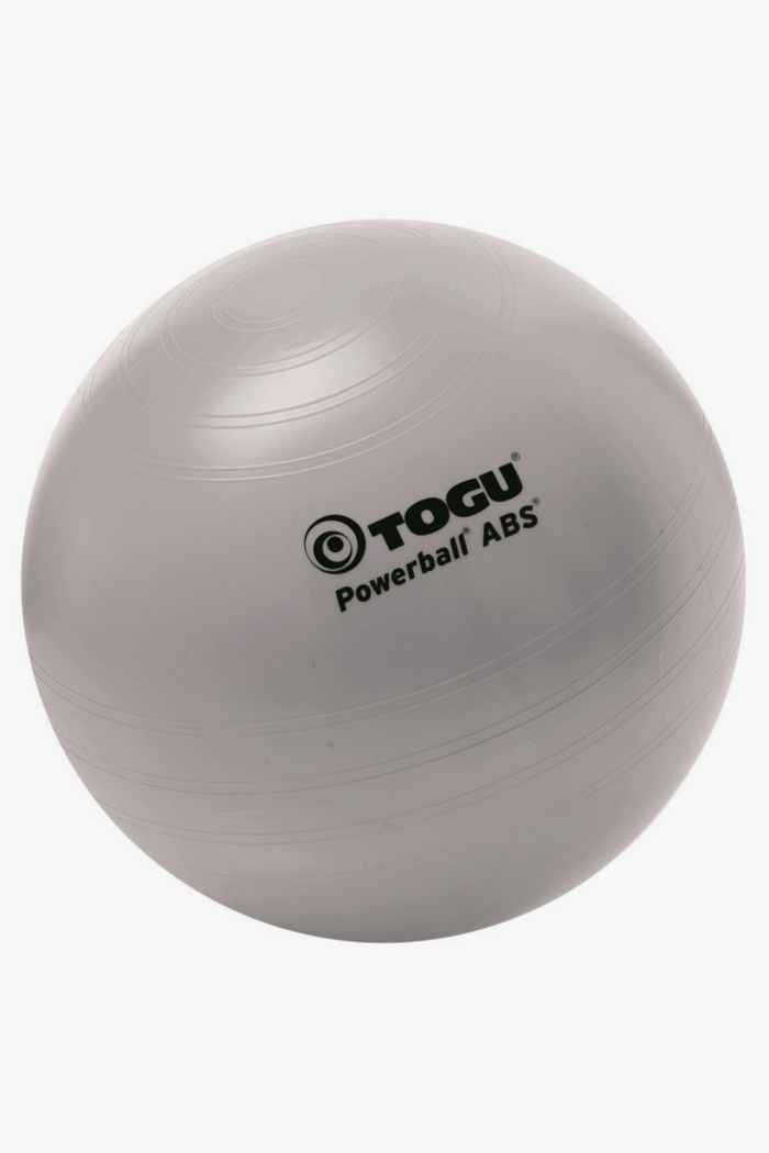 Togu ABS 65 cm fit ball 1